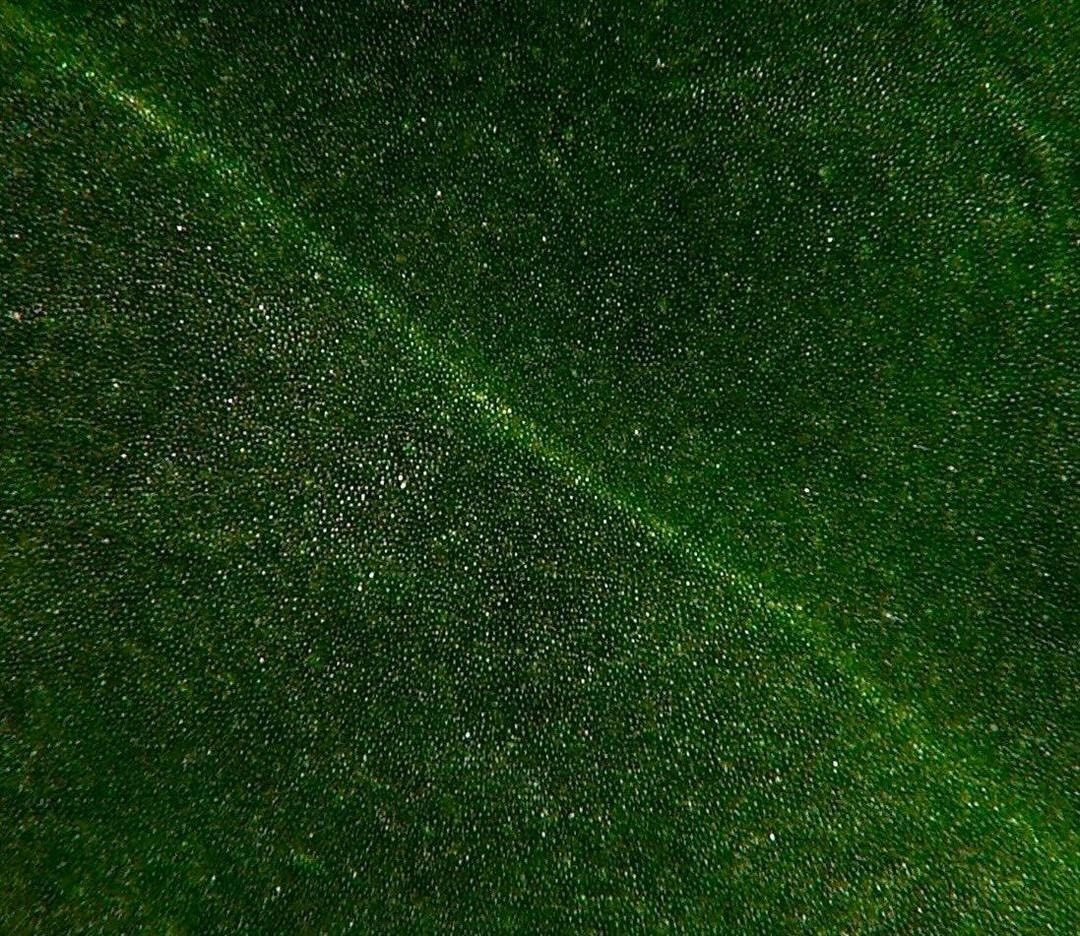火鶴絨感怎麼來的?